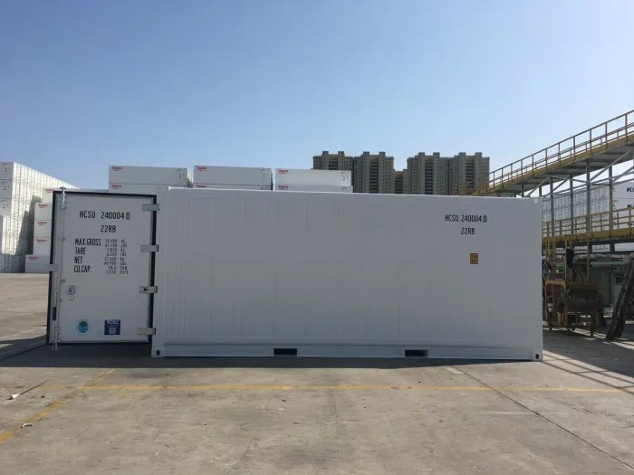 20FT Refrigerated Container – Thermo King Magnum Plus